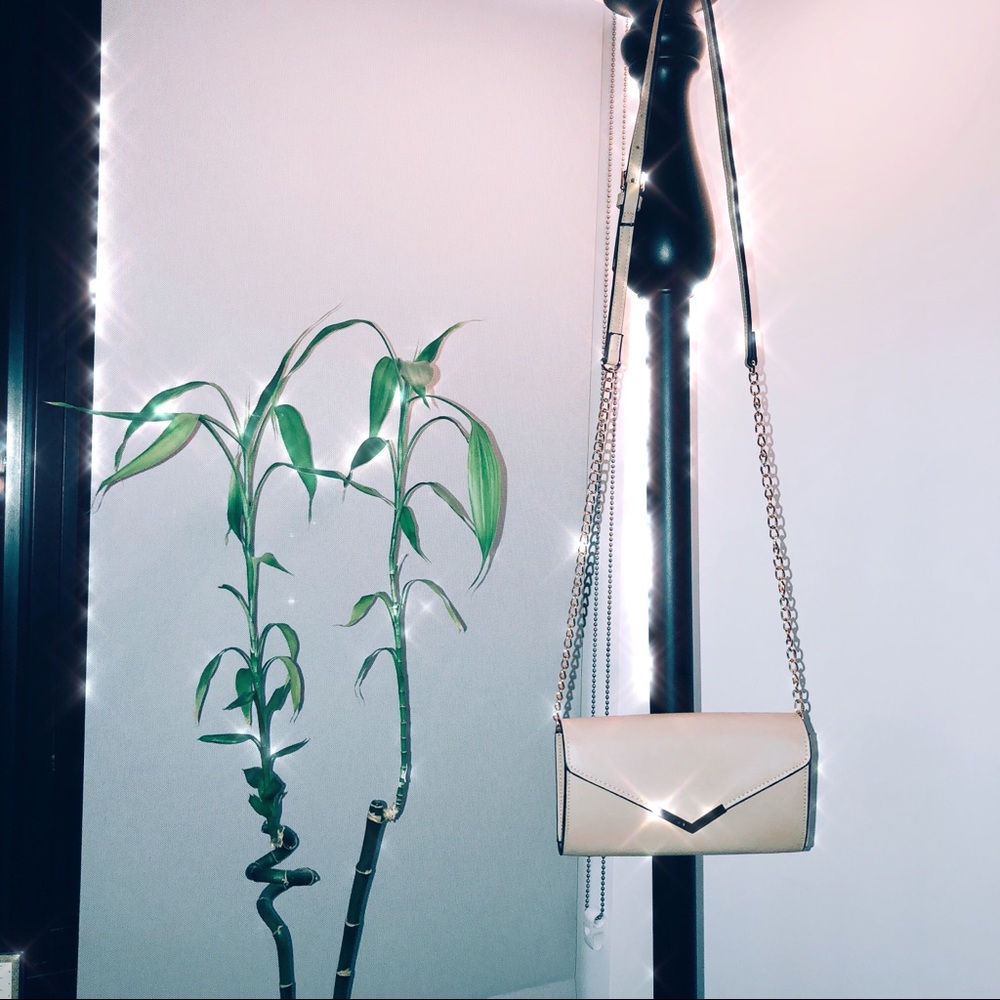 NWOT Clutch/Cross Body Bag